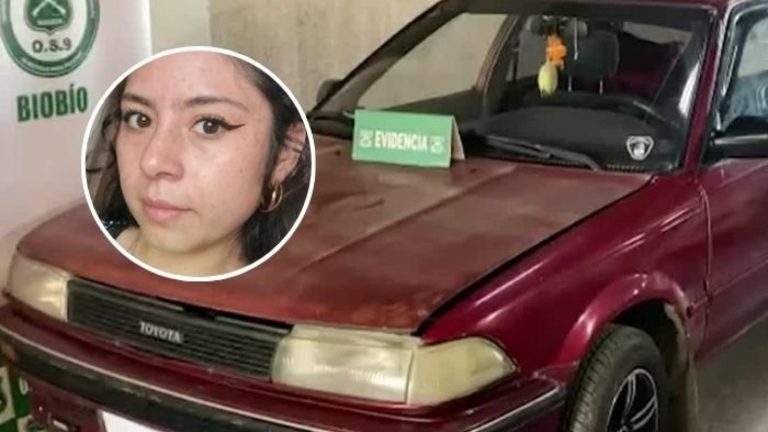 Detallan cruda confesión de autor confeso por asesinato de Daniela Olate: “Con esa arma...”