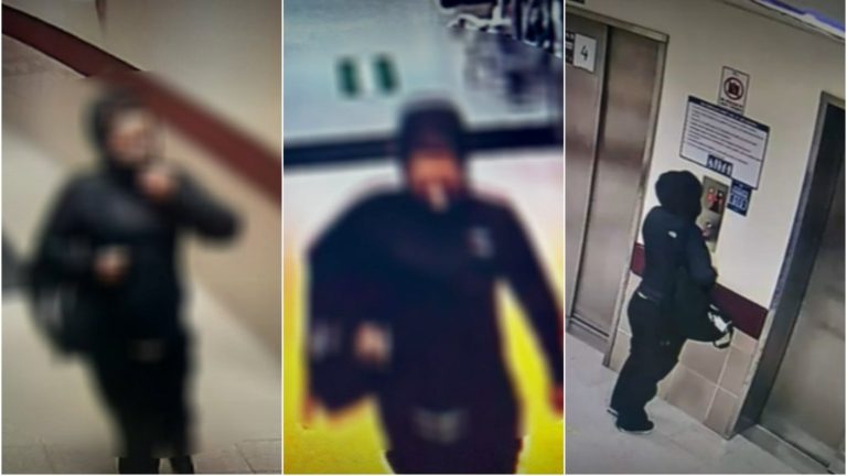 Revelan antecedentes de mujer detenida por secuestro de guagua en Temuco: “Hubo planificación”