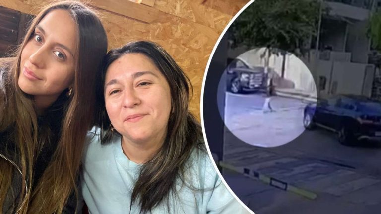 “Por eso no frenaste”: Tía de joven arrollada en paso peatonal envió potente mensaje al autor del siniestro vial