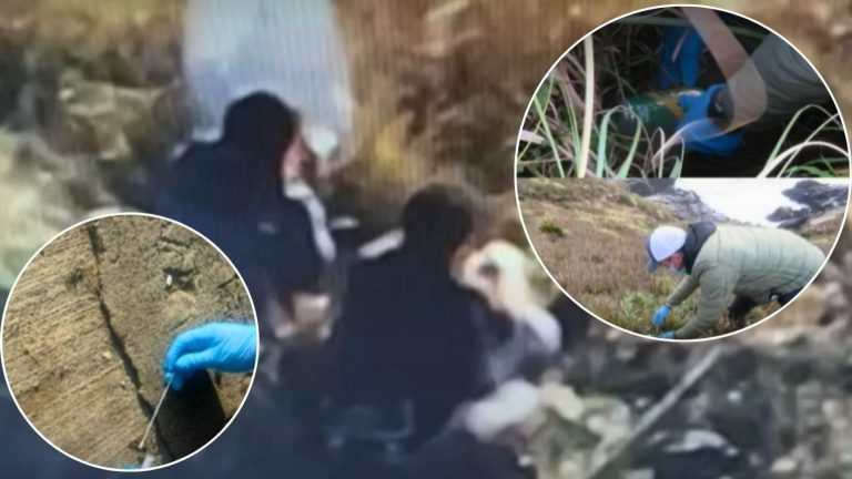 Huellas, saliva y cerveza: Las pruebas que permitieron identificar a homicidas de carabineros en Cañete