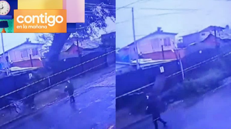 ¡Se salvó de milagro! Árbol estuvo a segundos de caer sobre una mujer en Cerro Navia