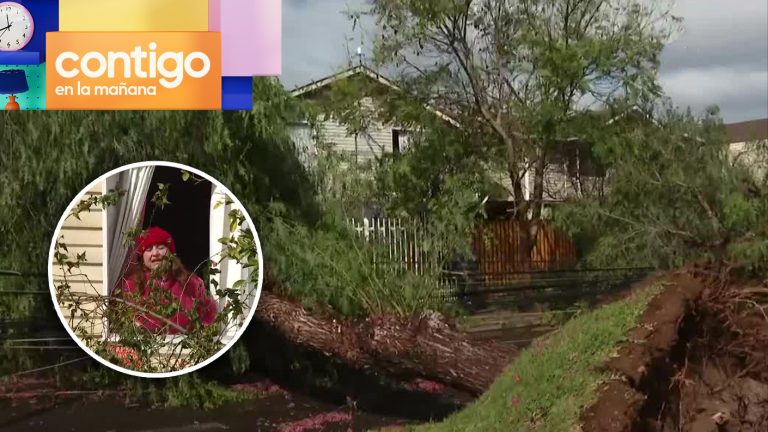 Peligro de cortocircuito: Ocho familias quedaron atrapadas tras caída de cuatro árboles en Maipú
