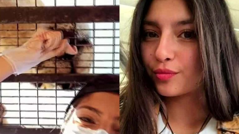 A 3 años de muerte de trabajadora: Hoy comienza juicio contra responsables de Parque Safari de Rancagua