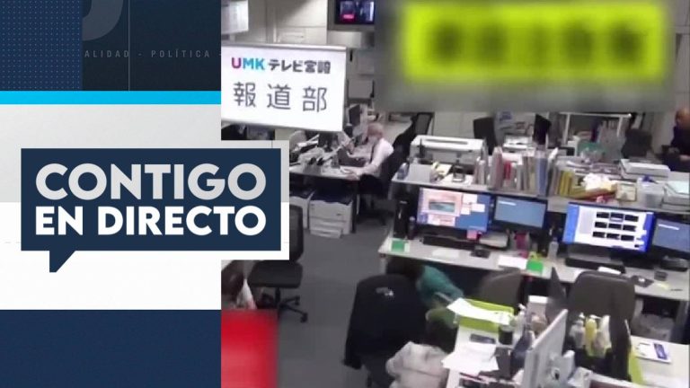 ¿Cómo podría afectar a Chile un futuro megaterremoto en Japón?