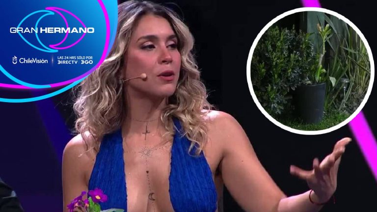 “Me chatié”: Carlyn hizo un mea culpa por el conflicto de la planta