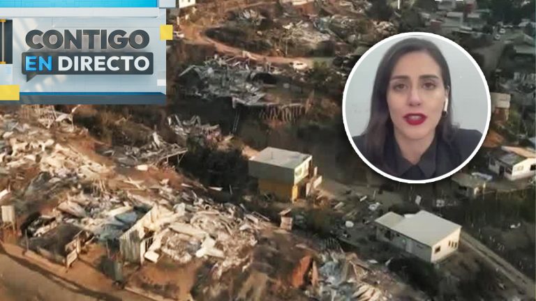 Alcaldesa Ripamonti criticó gestión del Gobierno tras megaincendio en Viña