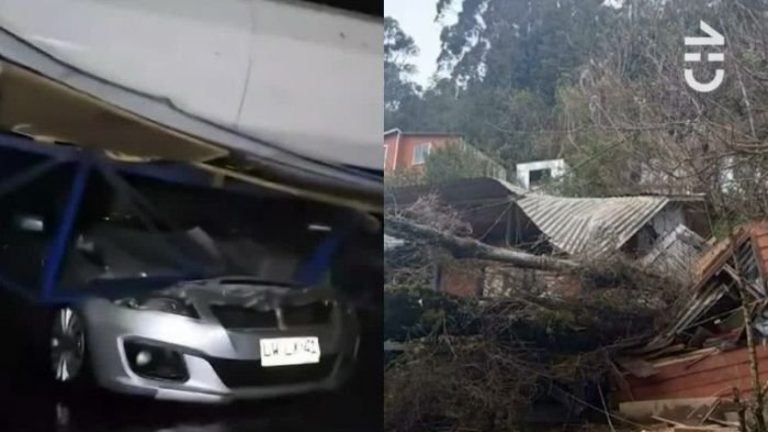 Con fuerte viento, árboles y techumbres caídas: Los impactantes registros del temporal en el sur