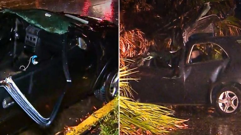 Lluvias en la RM: Conductor murió tras caída de palmera sobre su auto en Estación Central