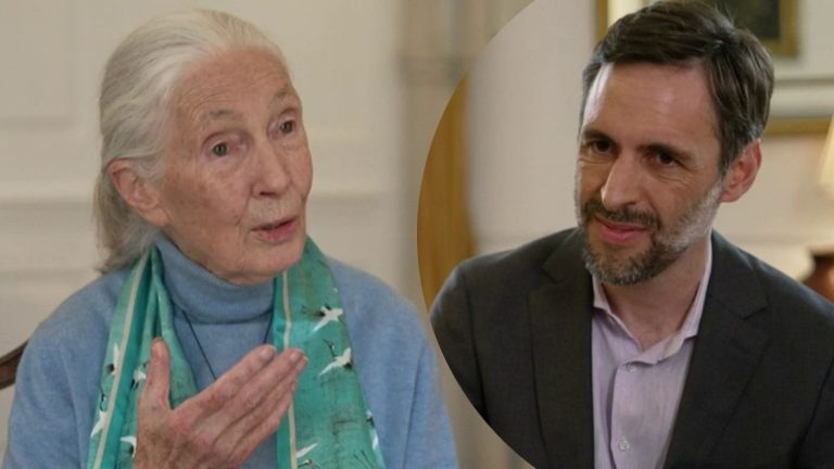 Jane Goodall en entrevista exclusiva con CHV Noticias: “Mi misión es dar esperanza para tomar medidas”