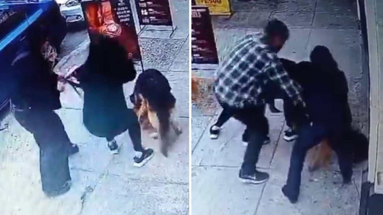 Viña del Mar: Fue “funado” por “maltratar” a un perro y cámara demostró que nunca lo agredió