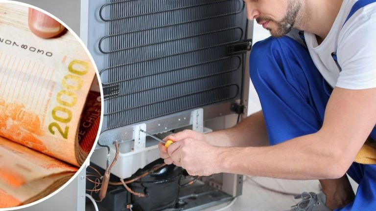 Subsidio al Empleo Joven 2024: Qué día se paga en agosto y quiénes lo reciben