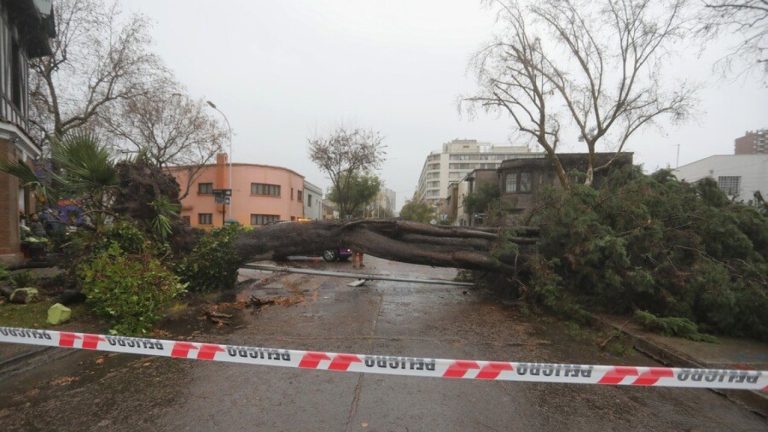 ¿Se te cortó la luz? Así puedes reportar un corte de suministro eléctrico en Enel