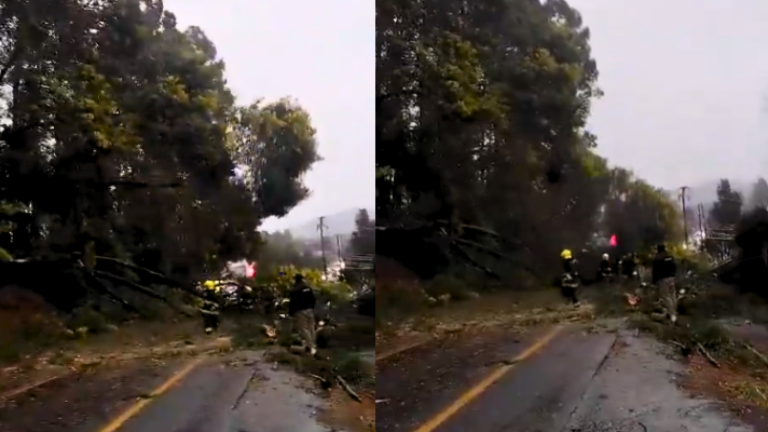 Bomberos salvaron de milagro a caída de arboles por sistema frontal en Lican Ray