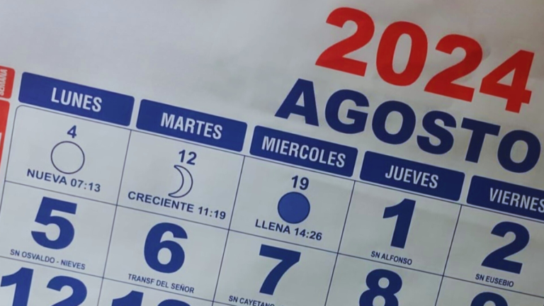¿Qué día es feriado en agosto? Revisa el calendario completo de lo que queda del 2024
