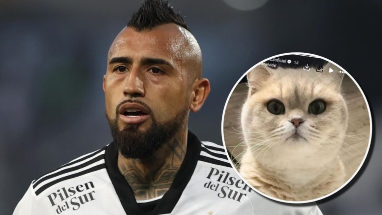 ¡Ofrece recompensa! La desesperada búsqueda de Arturo Vidal para encontrar a su gato 