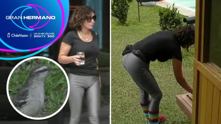No se da por vencida: Angélica intentó adoptar otro pájaro en patio de Gran Hermano