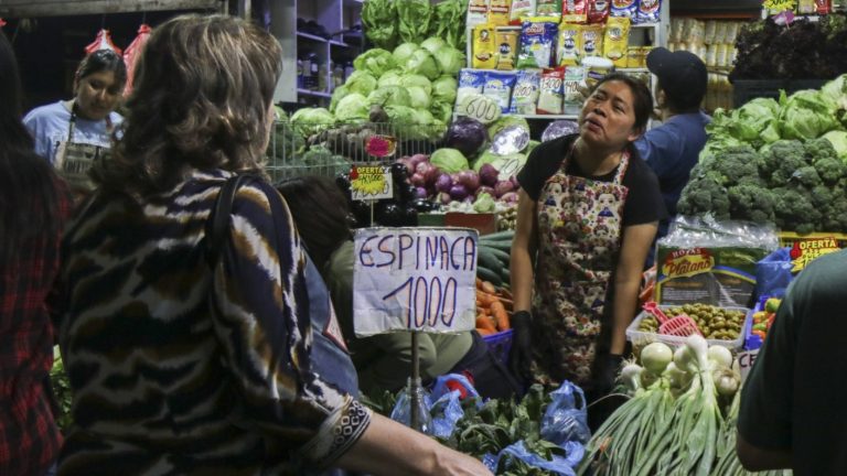 Bono Dueña de Casa: Revisa ACÁ si recibes el pago de hasta $438.222