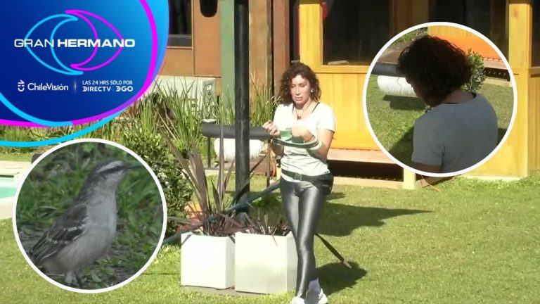 “¡Titín!”: Angélica sorprendió con frustrado intento de adopción en Gran Hermano