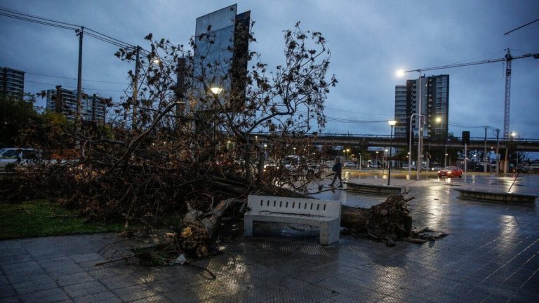 ¿Se repetirán las fuertes ráfagas? Así se viene el viento para este viernes por sistema frontal