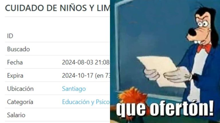 Usuarios viralizan y cuestionan oferta laboral en Santiago: “Son como 3 trabajos y pagan por 1”