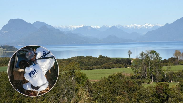 Tragedia en Lago Ranco: Estudiante de la UACH murió mientras realizaba curso de buceo