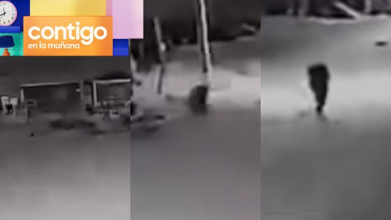 ¿Perro se convierte en humano? Viralizan misterioso registro captado en Chile