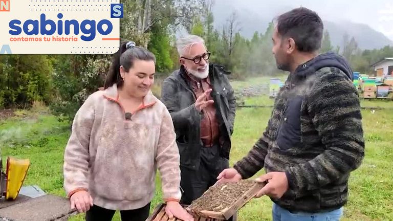 Cocinando en la Ruta Austral: Sergi Arola descubrió nuevos sabores en Hornopirén