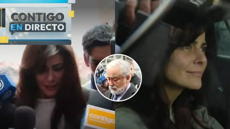 Nuevos chats de Luis Hermosilla mencionan a Tonka Tomicic: Declaró por dos horas en Fiscalía