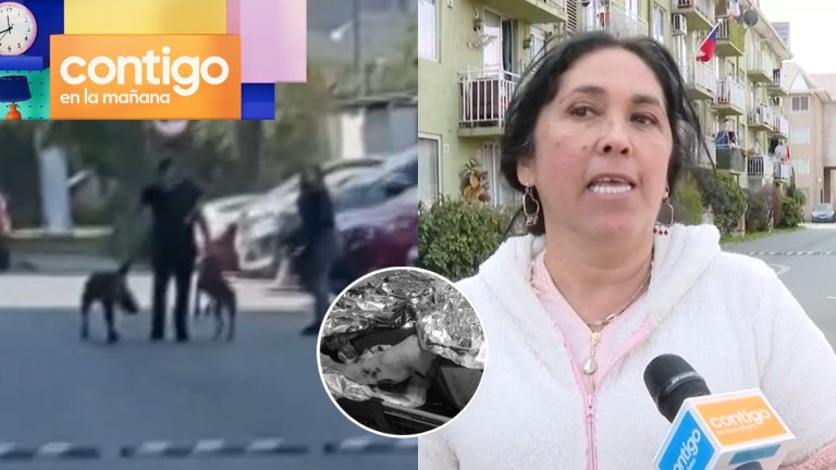 Ataques de pitbull aterran a vecinos: Adulta mayor fue mordida y será sometida a cirugía