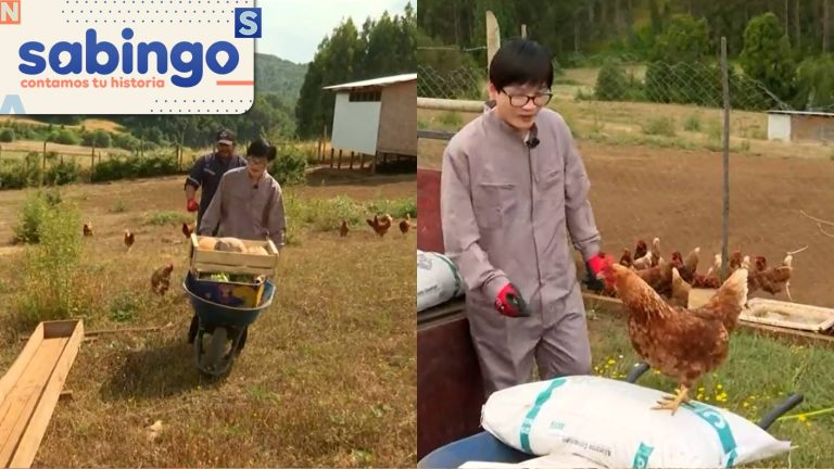 Yuhui trabajó como productor de huevos de gallina en La Unión | En tus zapatos | Sabingo