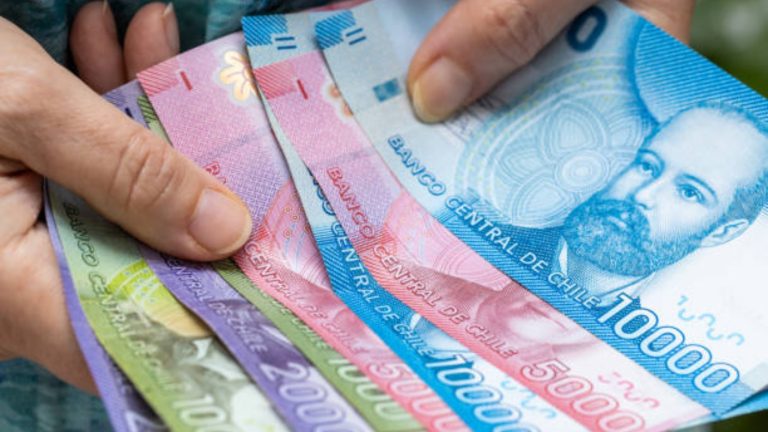 ¿Viudo del Bolsillo Electrónico? Revisa con tu RUT si recibes el Bono Base Familiar 2024 por 24 meses