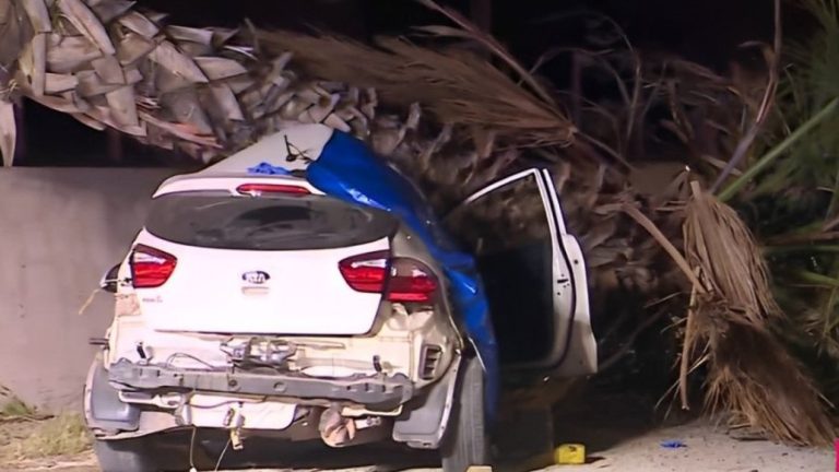 Dos hombres fallecieron tras chocar contra una palmera en Puente Alto: Habrían ido en exceso de velocidad