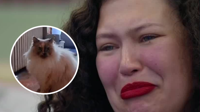 Michelle se quebró hasta las lágrimas tras emotivo video de su gatita: “La extraño mucho”
