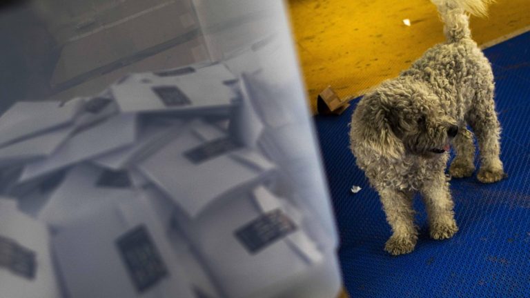 Elecciones 2024: ¿Estoy a tiempo de cambiar mi domicilio electoral para votar?