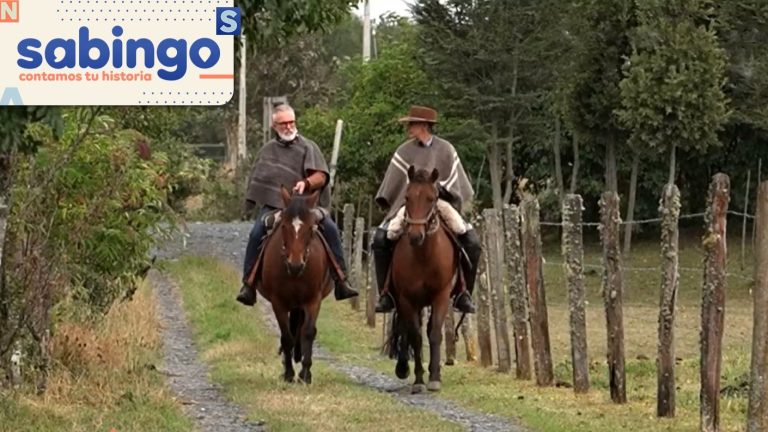 Cocinando en la Ruta Austral: Sergi Arola se asombró con las tradiciones de Puelo