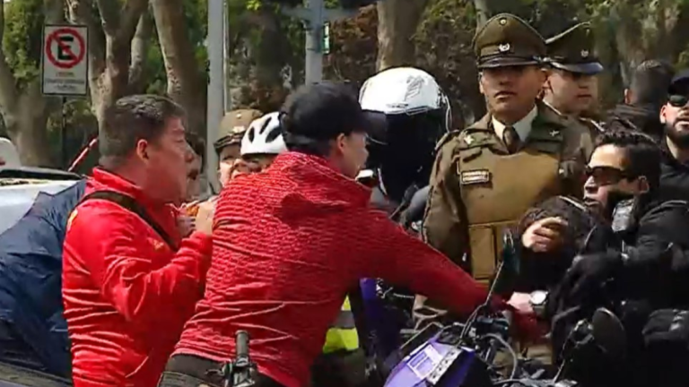 Fiscalización terminó con 4 detenidos y un carabinero mordido en el Parque O'Higgins