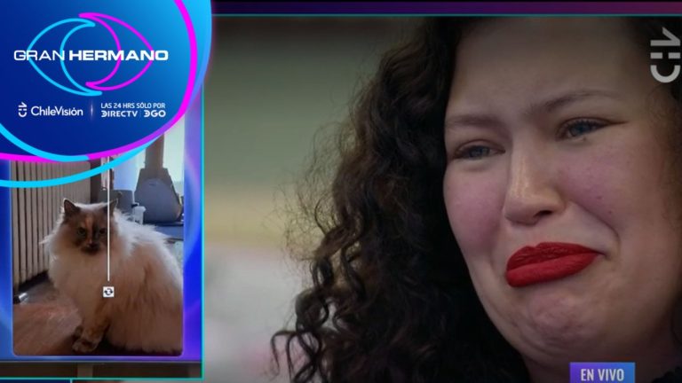 ¡Llegó a las lágrimas! Michelle recibió un emotivo saludo de su gatita Mika en GH