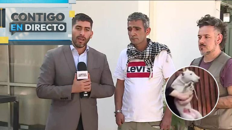 Vecino de Vitacura denuncia que Bull Terrier mató a su perro tras escapar de su dueño