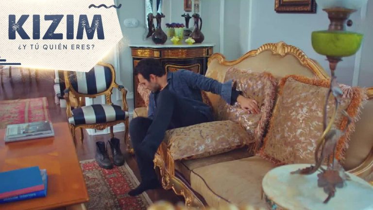 ¡Demir desconocerá su amistad con Candan y le robará los cuadros!