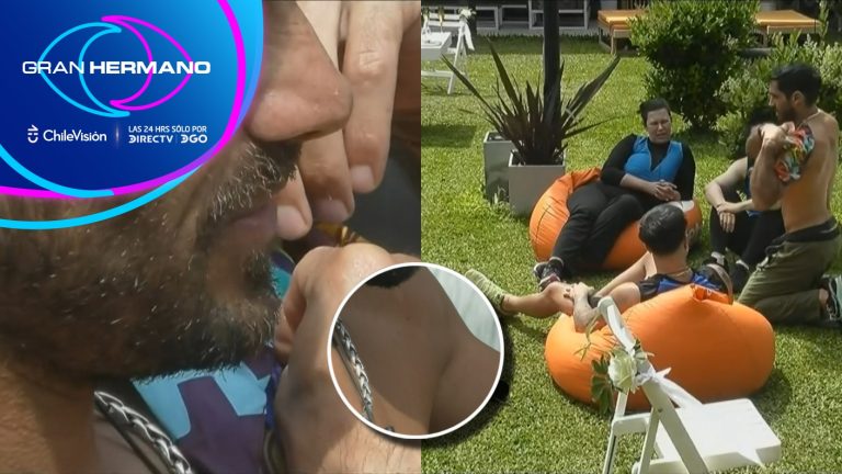 Pedro se dejó picar por una abeja por una curiosa razón: “El veneno ayuda a...”
