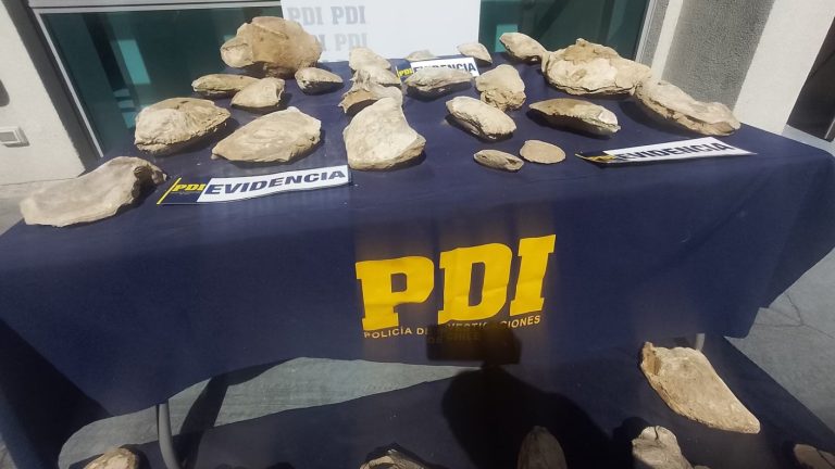 PDI incautó 150 piezas paleontológicas de hace 500 millones de años: Detenido las tenía como decoración en su patio