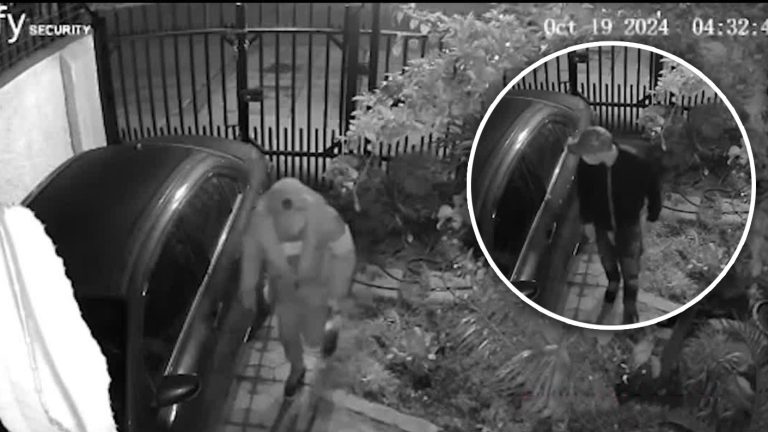 Adultos mayores sufrieron violento turbazo en Ñuñoa: Delincuentes fingieron ser policías