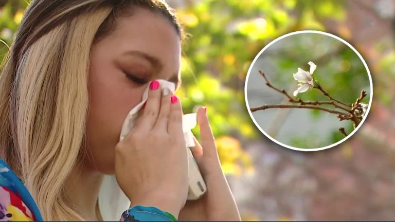 Síntomas más intensos: Registran la peor temporada de alergias de primavera