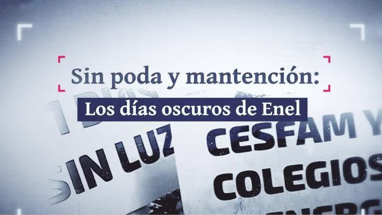 Escasa prevención: Enel no cumplió con podas de árboles para evitar cortes de luz