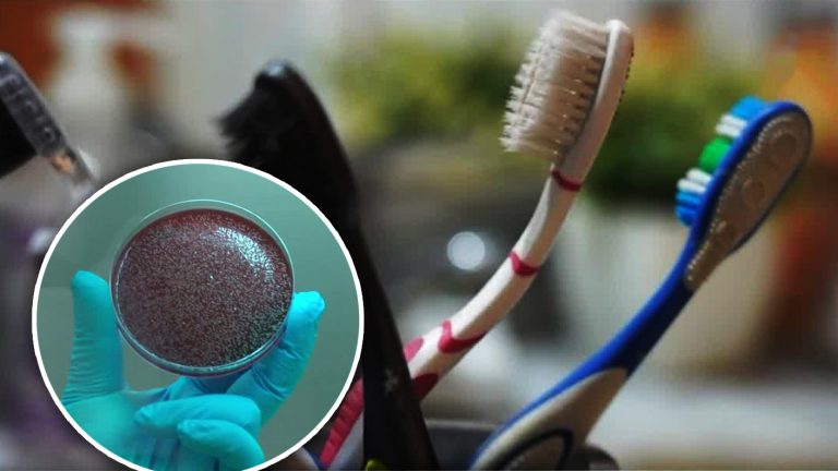 ¿Qué esconden los cepillos de dientes? Esto son los gérmenes que puedes encontrar en ellos
