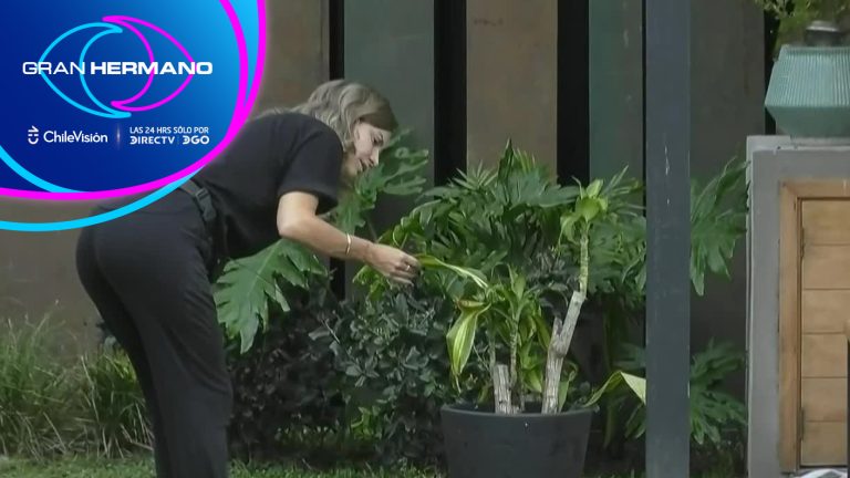 ¡Revivió! Diana evaluó a la planta de Carlyn que causó discordia en Gran Hermano