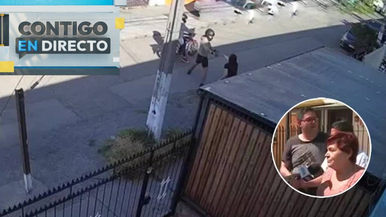 Ola de robos en Quinta Normal: Le apuntaron con arma a plena luz del día mientras paseaba mascota