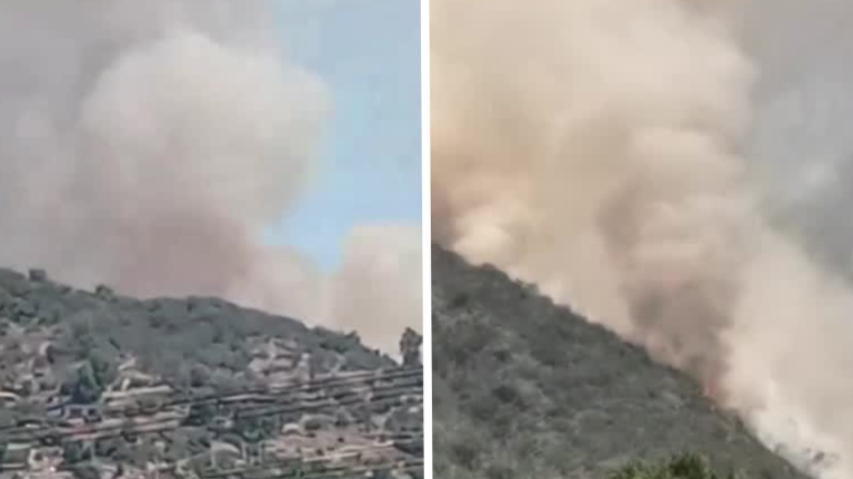 Incendio forestal con peligro de propagación amenaza 150 casas en Paine