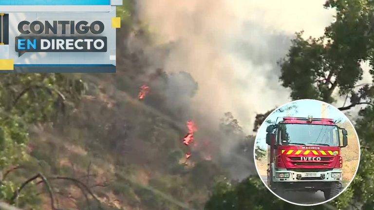 Voraz Incendio forestal con peligro de propagación en Paine ha arrasado con 40 hectáreas