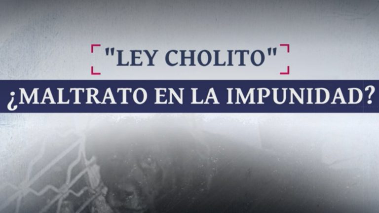 Pese a “Ley Cholito” persiste el maltrato animal y en algunos casos la impunidad: ¿Cuáles son los fallas del sistema?